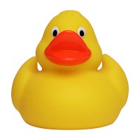 M131022 mbw piszcząca kaczka 1