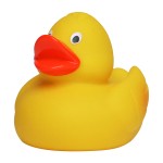 M131022 mbw piszcząca kaczka 2