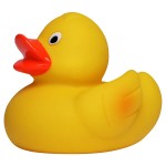 M131022 mbw piszcząca kaczka 3