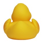 M131022 mbw piszcząca kaczka 4