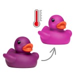 M131043 mbw gumowa kaczka zmieniająca kolor pod wpływem temperatury purpurowa 9