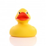 M131051 mbw piszcząca kaczka Gigant 1