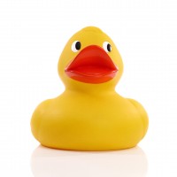 M131051 mbw piszcząca kaczka Gigant 1 1