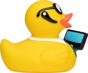 M131081 mbw kaczka z laptopem 5