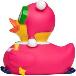 M131091 mbw Schnabels kaczka narciarka 3