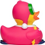 M131091 mbw Schnabels kaczka narciarka 5