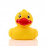 M131093 mbw piszcząca kaczka 1