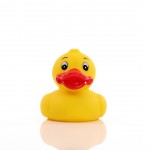 M131093 mbw piszcząca kaczka 1 1