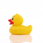 M131093 mbw piszcząca kaczka 1 2