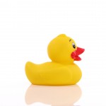 M131093 mbw piszcząca kaczka 1 4