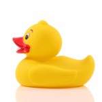 M131093 mbw piszcząca kaczka 2