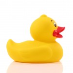 M131093 mbw piszcząca kaczka 4