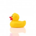 M131095 mbw piszcząca kaczka 2