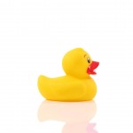 M131095 mbw piszcząca kaczka 4