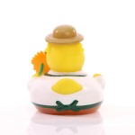 M131119 mbw piszcząca kaczka ogrodnik 3