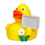 M131126 mbw skrzypiąca kaczka miejska 2