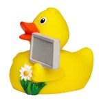 M131126 mbw skrzypiąca kaczka miejska 3