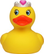 M131142 mbw Schnabels kaczka księżniczka 1