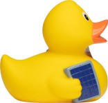 M131155 mbw Schnabels kaczka energia 5