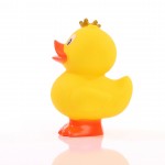 M131166 mbw piszcząca kaczka w koronie 2