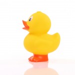 M131172 mbw piszcząca kaczka 2