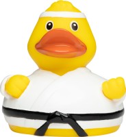 M131210 mbw Schnabels kaczka karateka 1