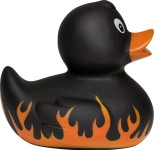 M131212 mbw Schnabels kaczka płomienie 5