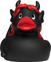 M131241 mbw Schnabels kaczka diablica 1