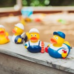 M131255 mbw kaczka Murarz 6