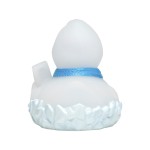 M131294 mbw Schnabels kaczka mróz 4