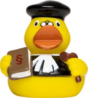 M132053 mbw Schnabels kaczka sędzia 1