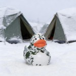 M132082 mbw skrzypiąca kaczka moro biała 2