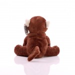 M160012 mbw Małpka Bjarne 5