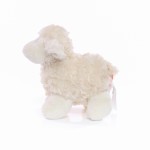 M160075 mbw Owieczka Connor 4