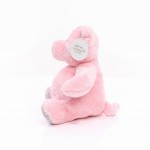 M160195 mbw Świnia Trine 3