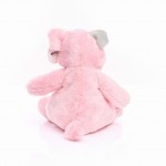 M160195 mbw Świnia Trine 4