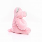 M160195 mbw Świnia Trine 5