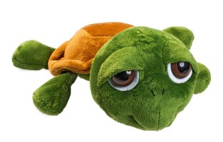 M160248 mbw Żółw Lotte 1