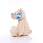 M160316 mbw Niedźwiedź Josef 3