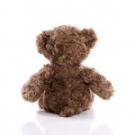 M160356 mbw Niedźwiadek Bodo 2