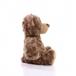 M160356 mbw Niedźwiadek Bodo 3