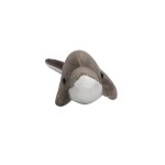 M160619 mbw Delfin Lars 2