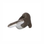 M160619 mbw Delfin Lars 4