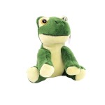 M160625 mbw Żaba Arwin 4