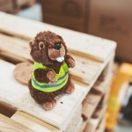 M160637 mbw Bóbr Brian 4