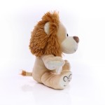 M160647 mbw Lew Rudi 5