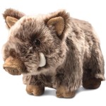 M160681 mbw Dzik Nicolo 1