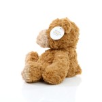 M160709 mbw Miś Bjorn 6