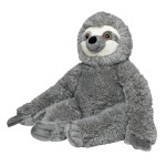 M160818 mbw Leniwiec Hektor 2