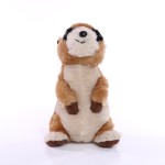 M160826 mbw Surykatka Jurgen 2